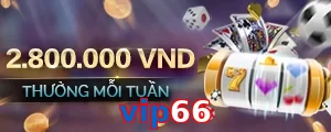 vip66