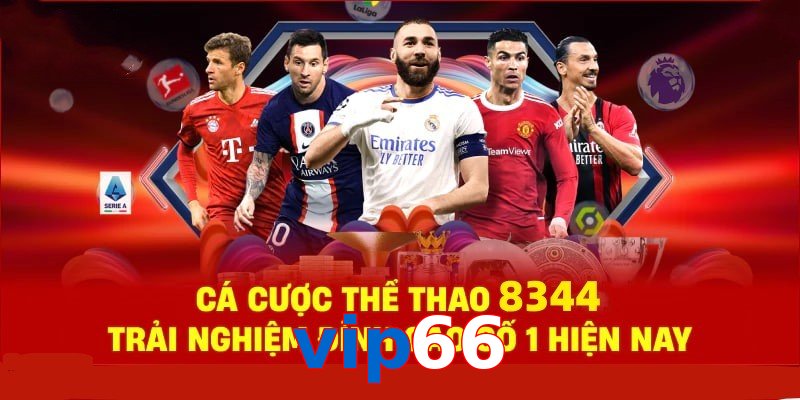 Đá Gà Philippines – Tinh Hoa Truyền Thống Và Thể Thao 